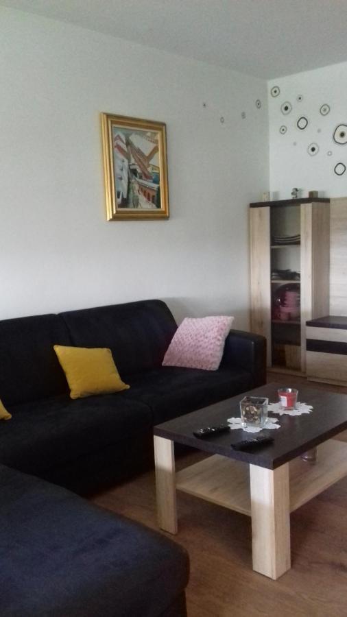 Ferienwohnung Apartman Lana ,Froudeova Ulica 3 Nasuprot Zg Velesajma Zagreb Exterior foto